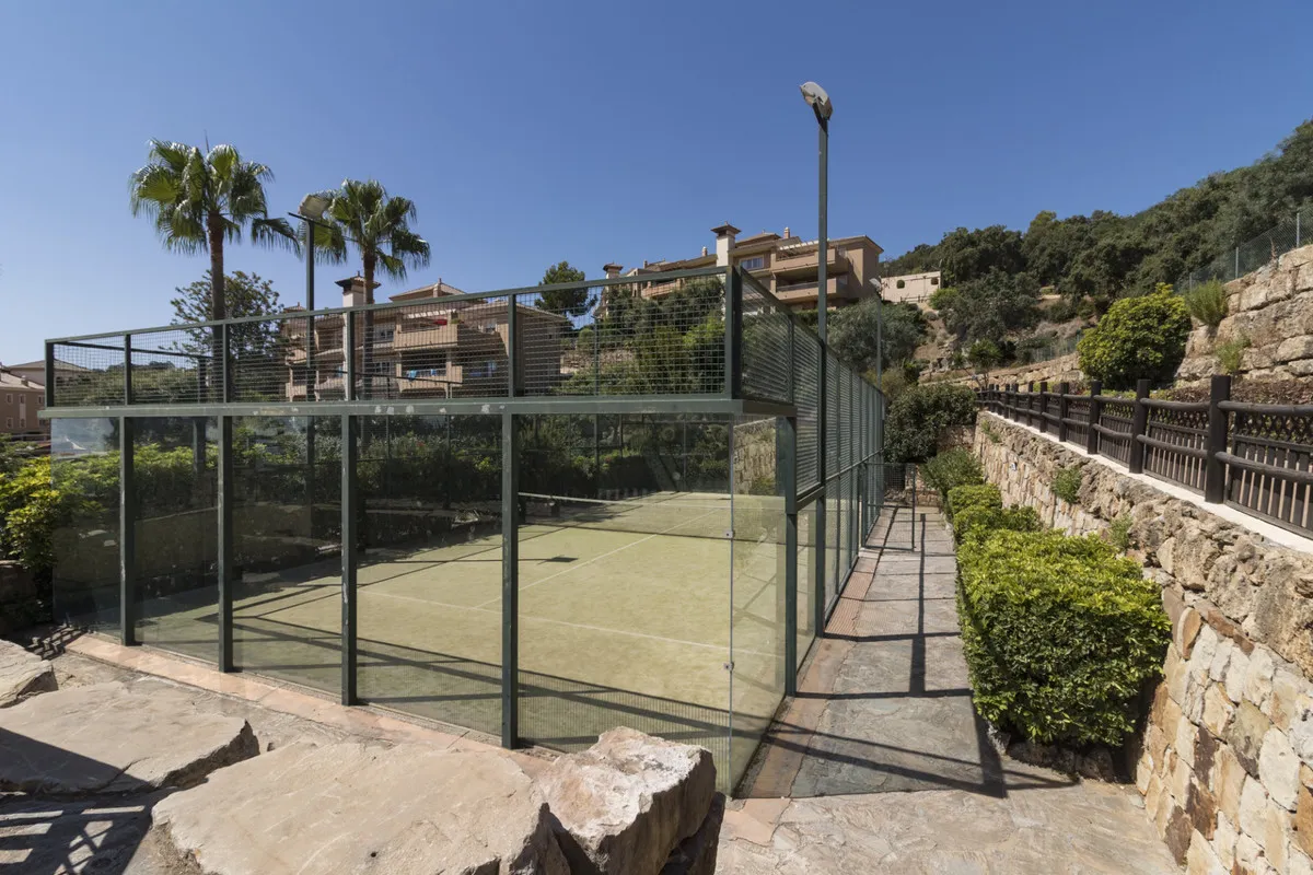 315e1f5c-c8bc-4287-b302-7e9823888748