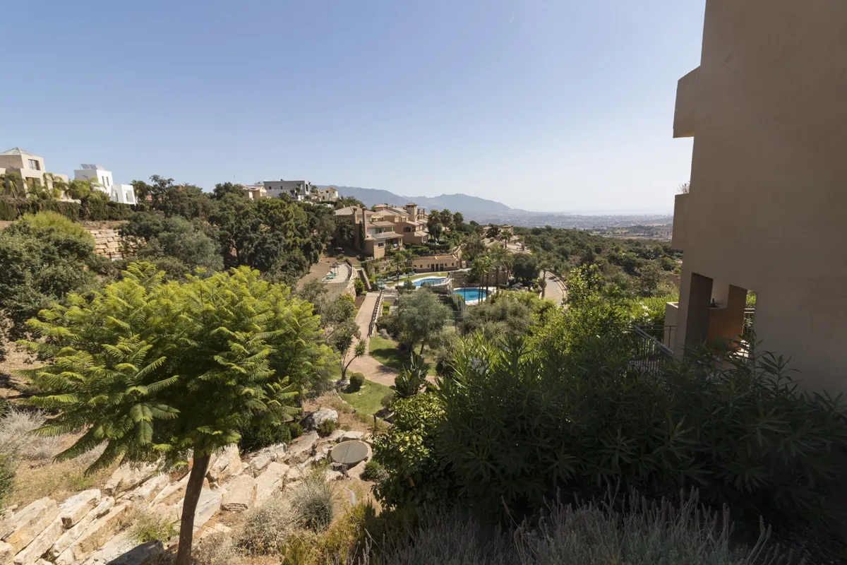 55e7261c-c5a0-41c1-9223-1495a83fada0