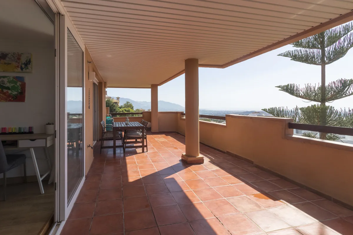 981dd0a5-ba08-4a3d-8924-39cdb0760ece