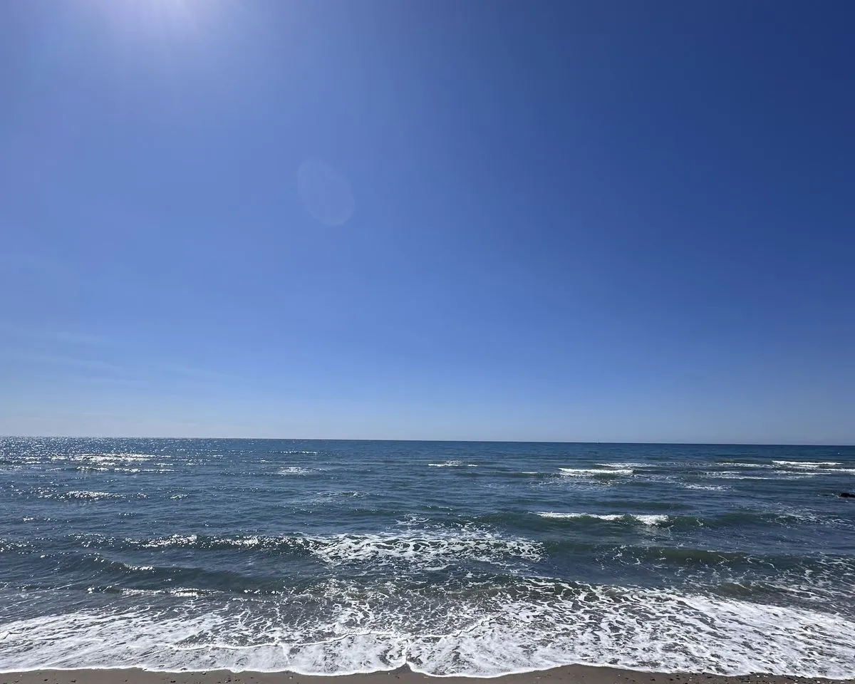 ee385270-4142-4d53-bda2-68916400a5a7