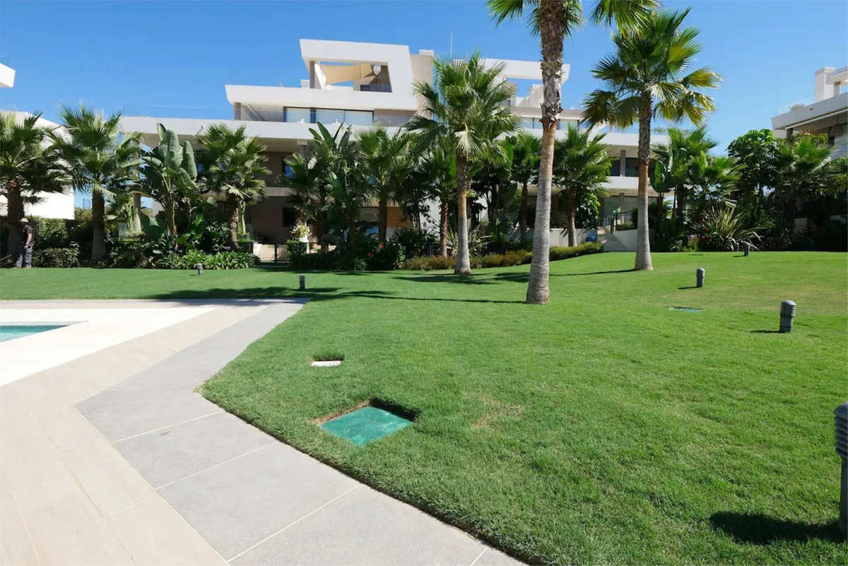 dd8d123e-8966-42cf-a02b-d609fa62ca6d