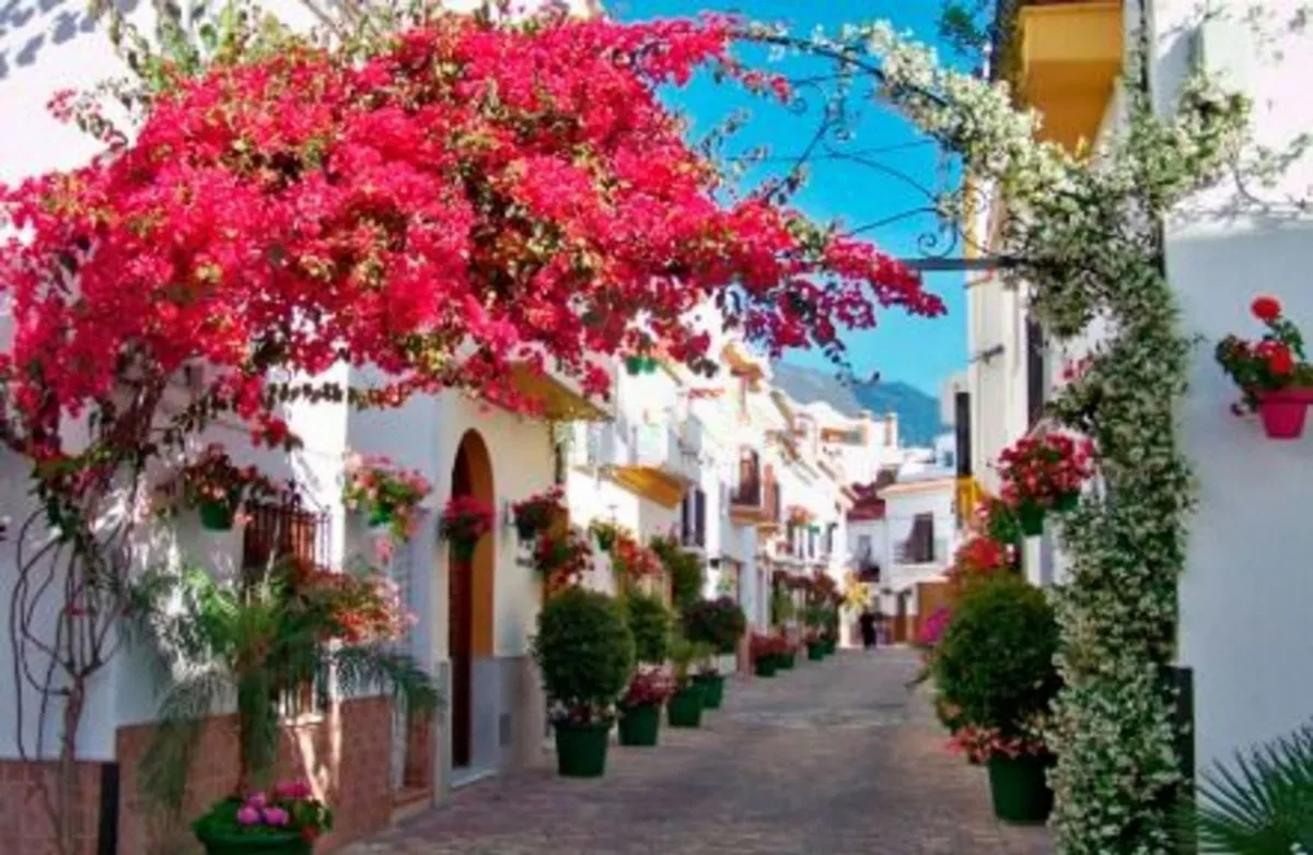 2b0810a5-c01a-4119-ade6-ccefc9b5c374