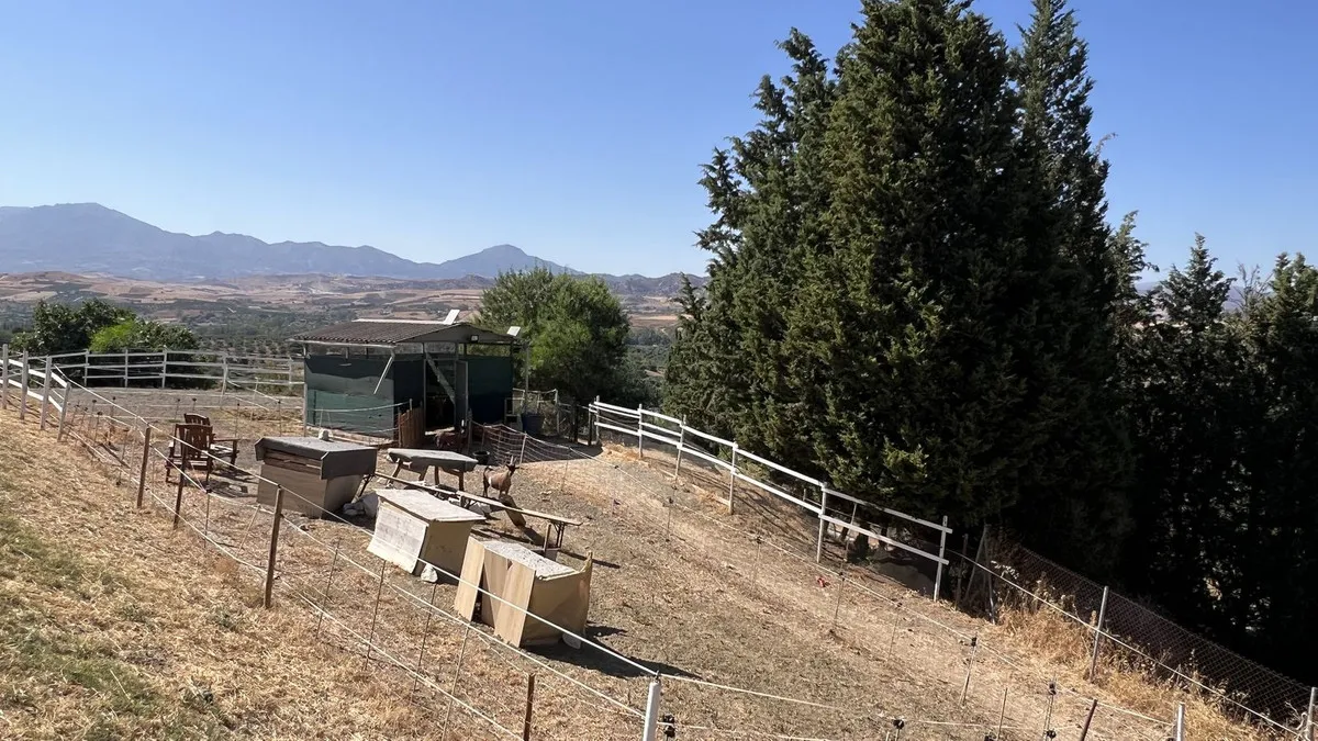 10610712-b6a9-40c6-a59b-7a0f7e11d296