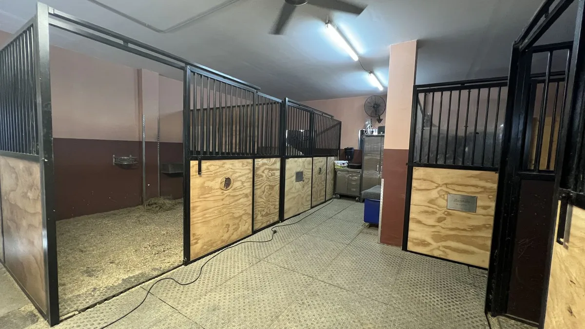 4d589a43-2702-4a84-8d44-c8742ae06deb