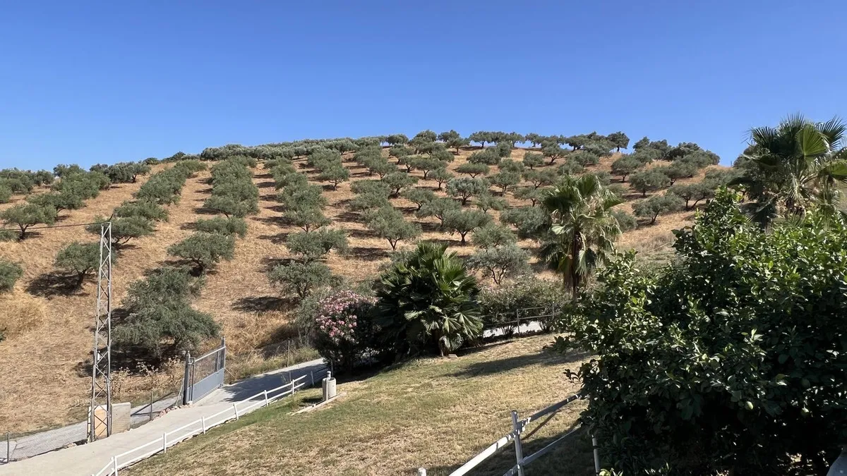 685c29e5-de33-43fd-89a7-a4cfea3fecd6