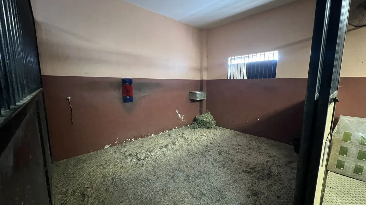 93beeeb6-5bbf-421a-a24a-afb015ffe8b1