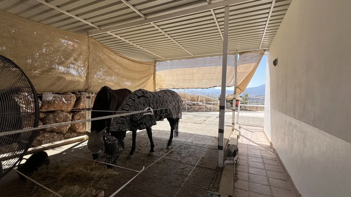 b9b4a7dd-24d2-4770-91f7-b65caa1b8cd4