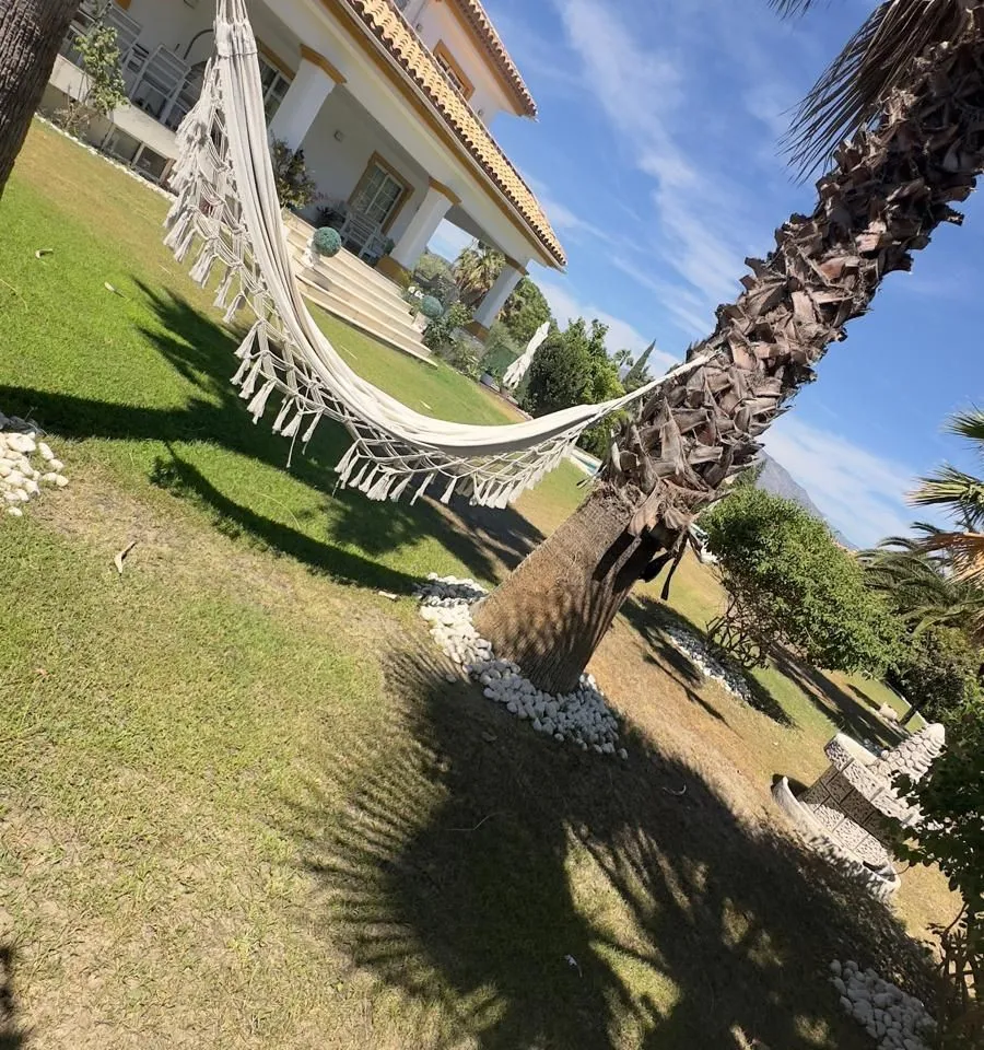 810ef895-dc5b-4792-8a01-e26e7cda2a7d