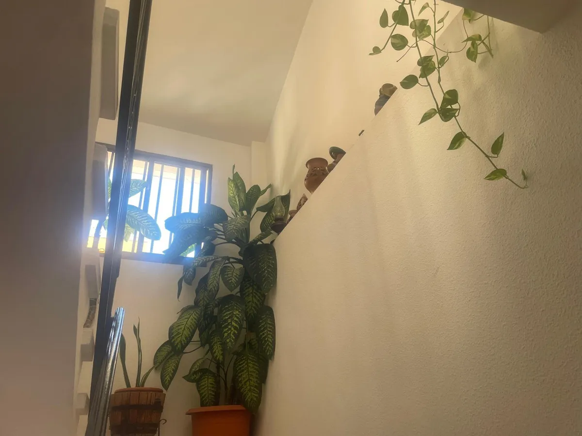 e9bee7cd-0424-4058-a642-ebe444c136d7