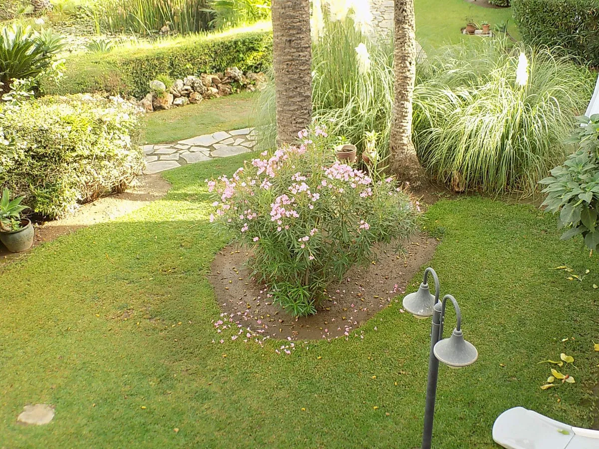 37baa30c-701c-4dbc-9371-54aa8136798d