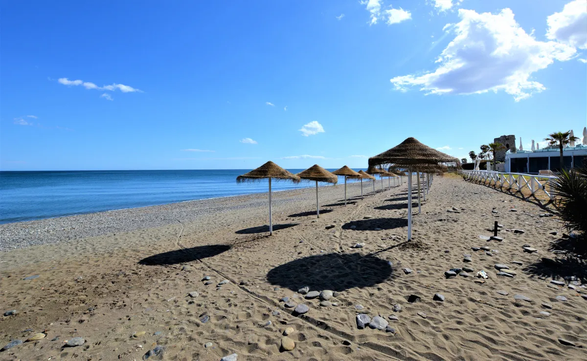 a13383c2-96b0-4bf1-8a28-067e12bc6956