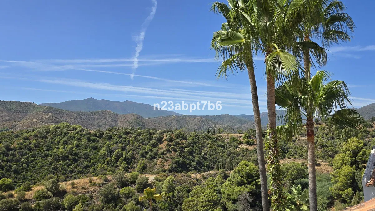 4c34286a-723a-4bd9-a804-3319a14d0970