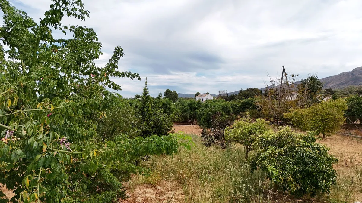 d042f2f3-d83a-4381-9dc3-a25679111f7b