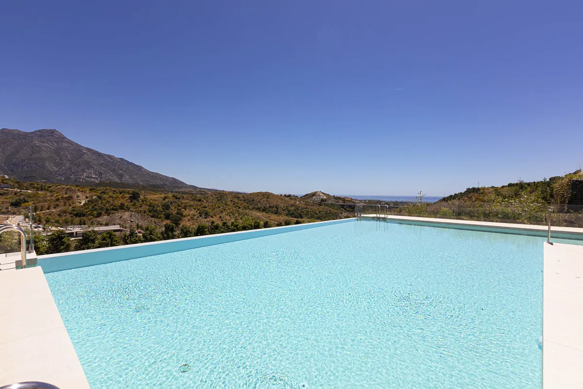 8a6a9902-fd30-4a7b-911d-8d84af857c0d