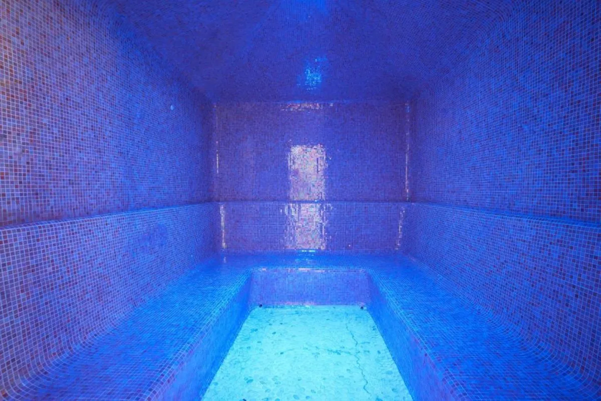 9ca45d56-9af7-4e51-a48e-6fd66c076e09