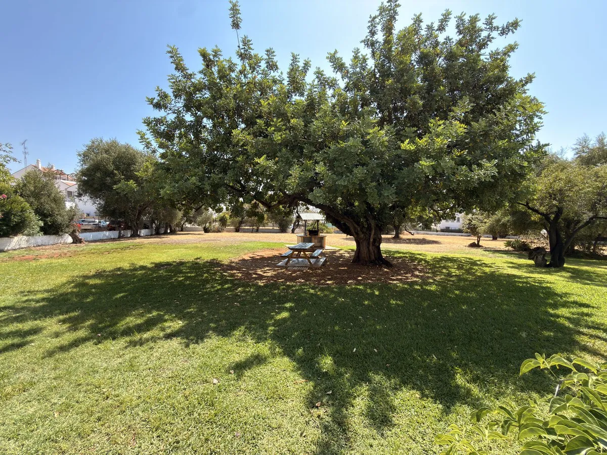 654e7903-0b10-4c0f-9286-4e65c3b0e03d