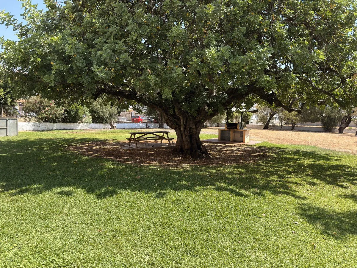 e30e7ed0-308a-464d-b21a-92368a692cff