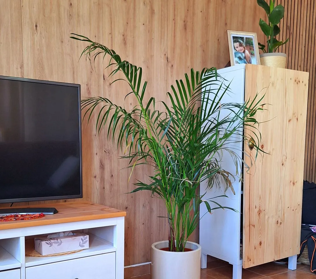 4f6d36fa-32e6-494c-b109-951fd57ed3d4