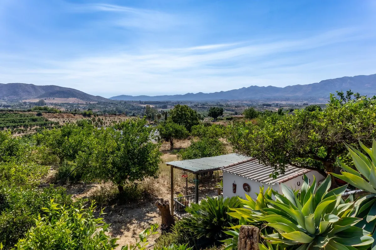 390262b5-bdda-4616-a16d-155d41cbf6d9