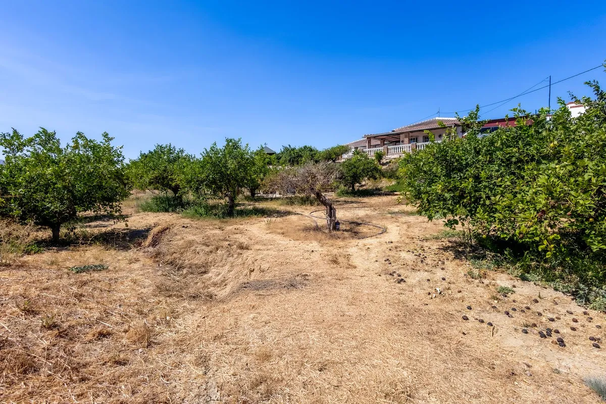 b5a0dd23-e56c-4ffc-88a1-fdc4b8a94316