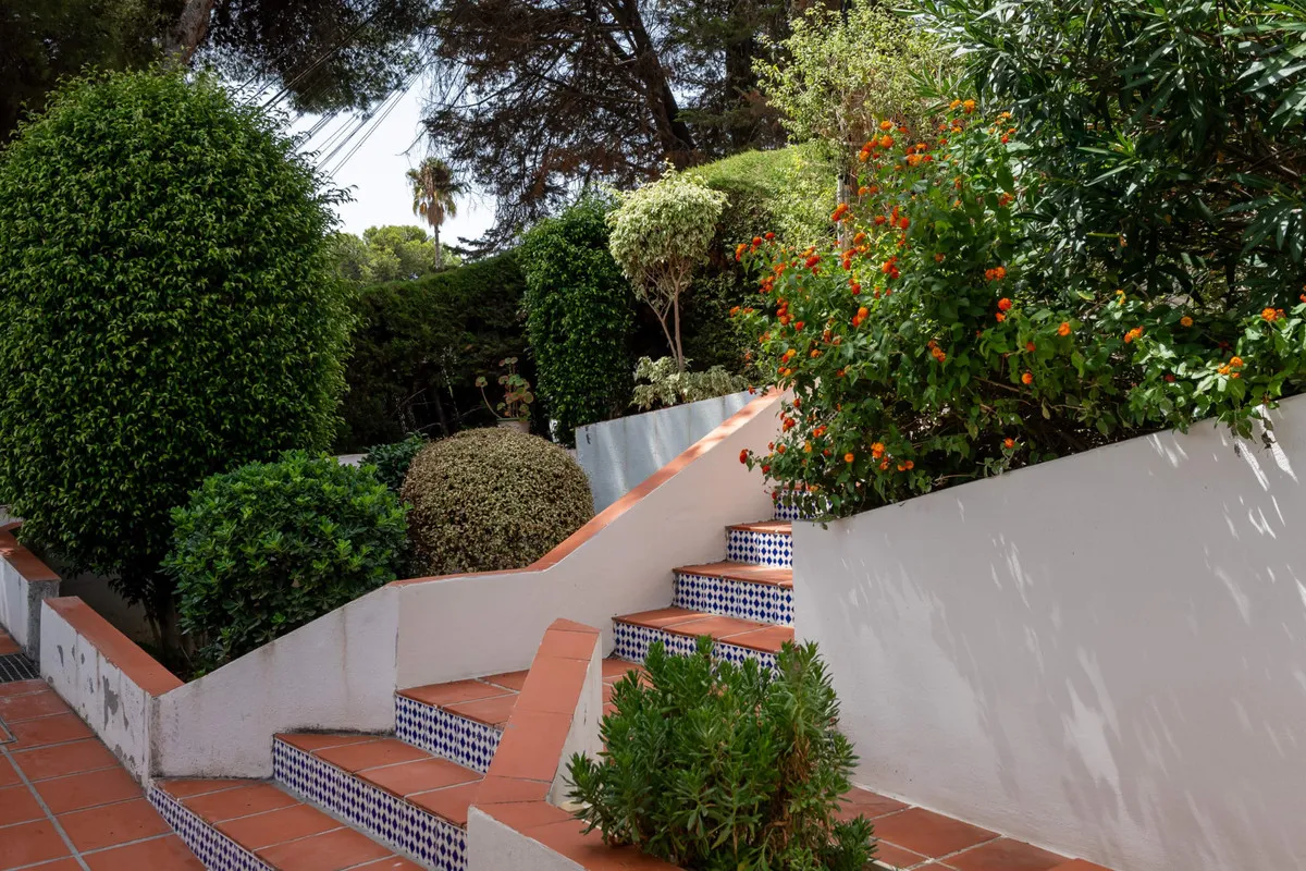 3db05d62-a9a1-4410-81b2-18af9c3fb5a4