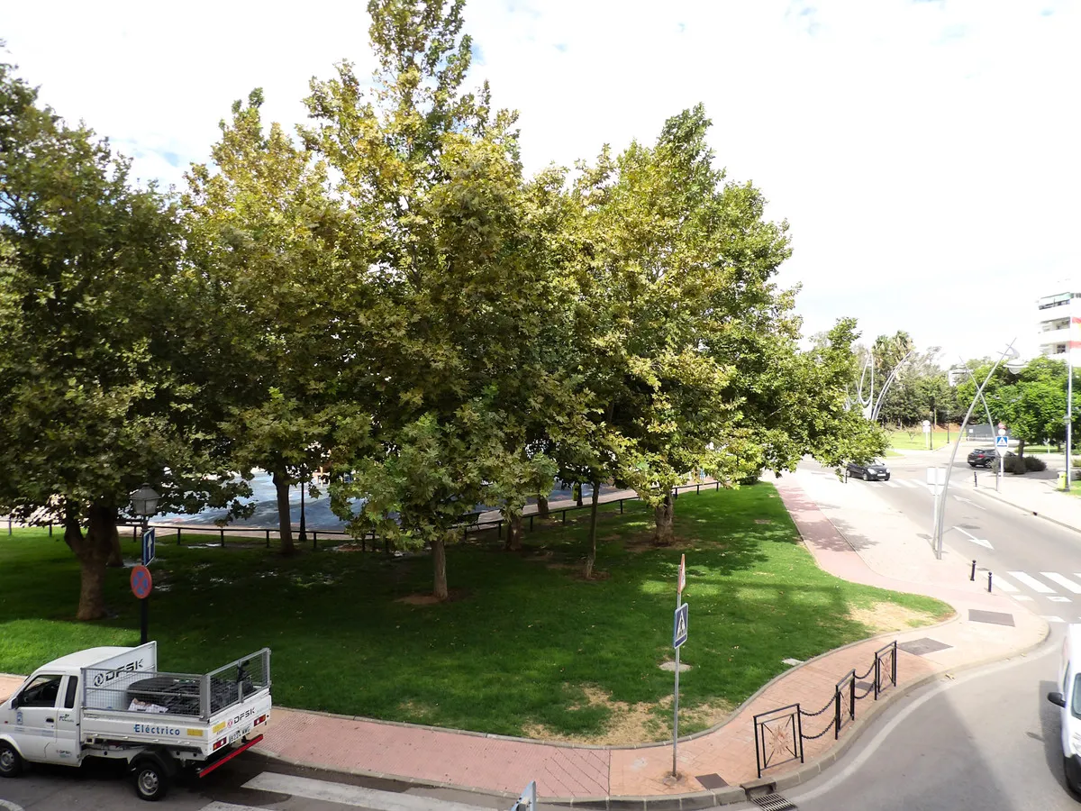 a7256b86-b986-4ff7-bd8e-1c66da38f932