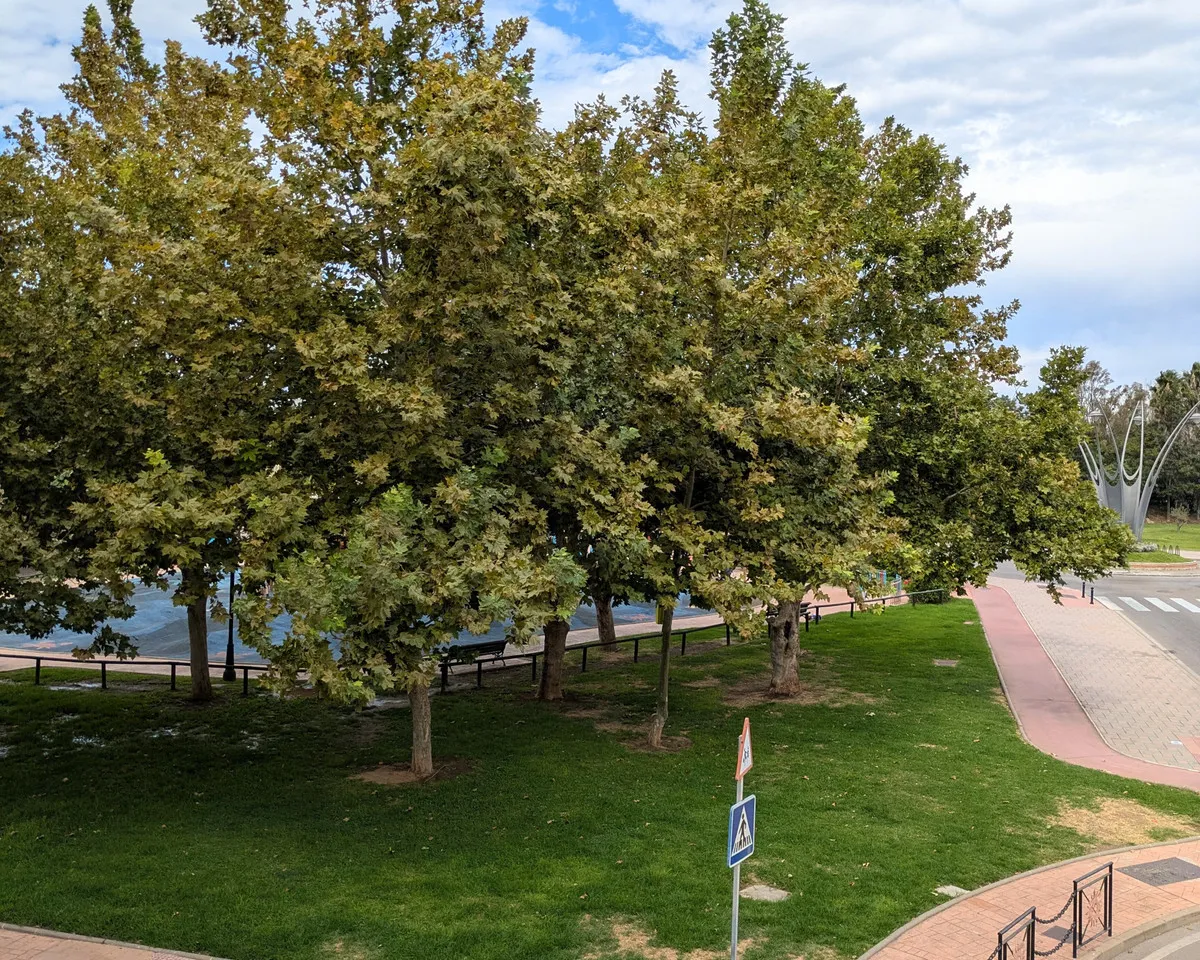 fcfdd800-58e8-4052-a2af-3282ff169060