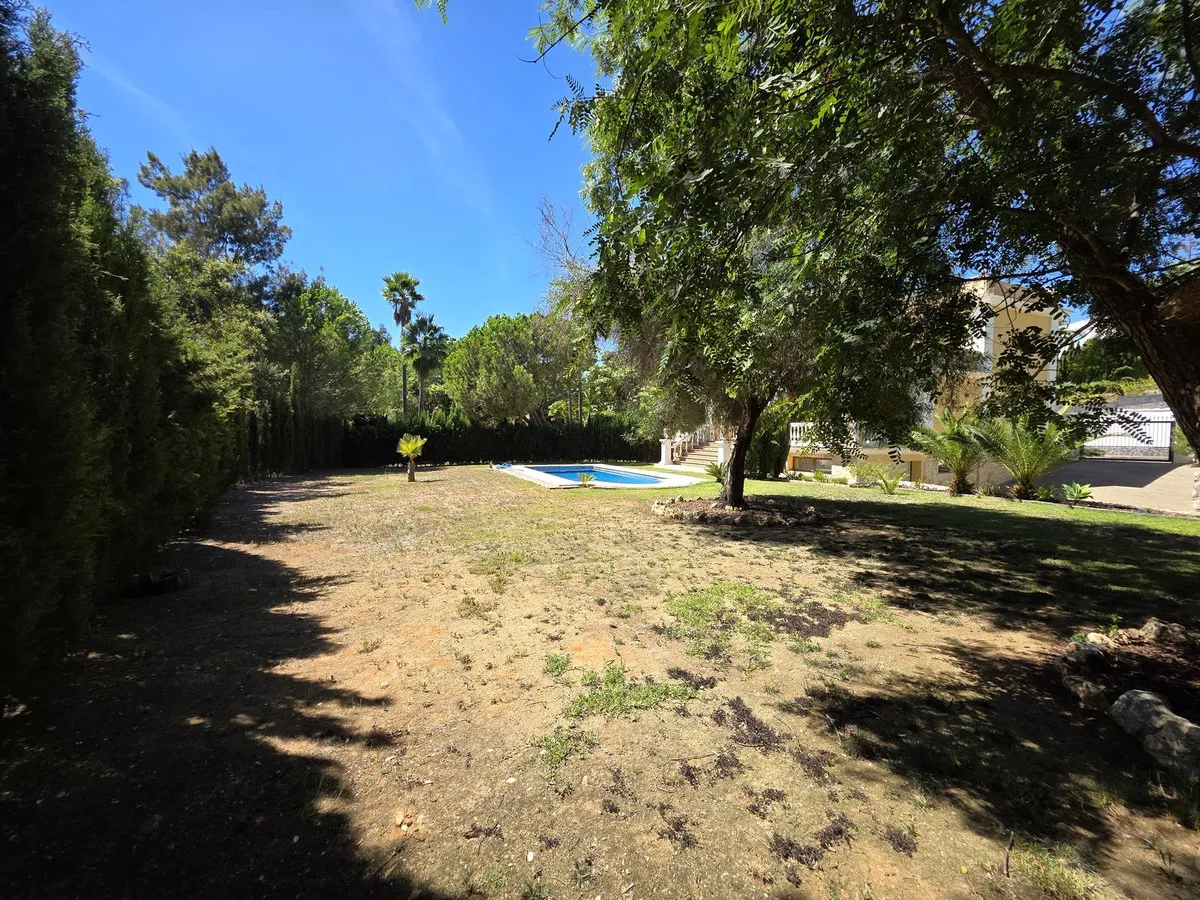 b74451d7-85d6-46a4-b03f-bb77623429f5