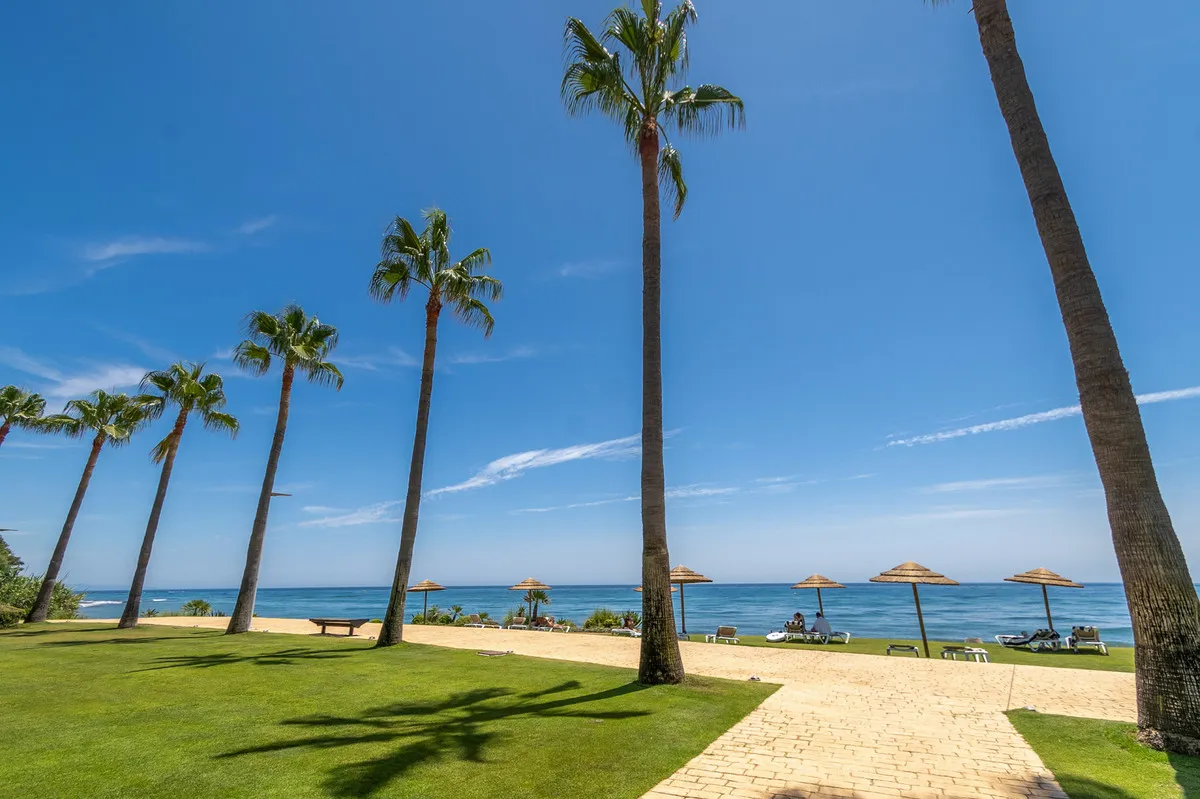 c8a491c6-bd3d-40eb-8637-409a95a801d5