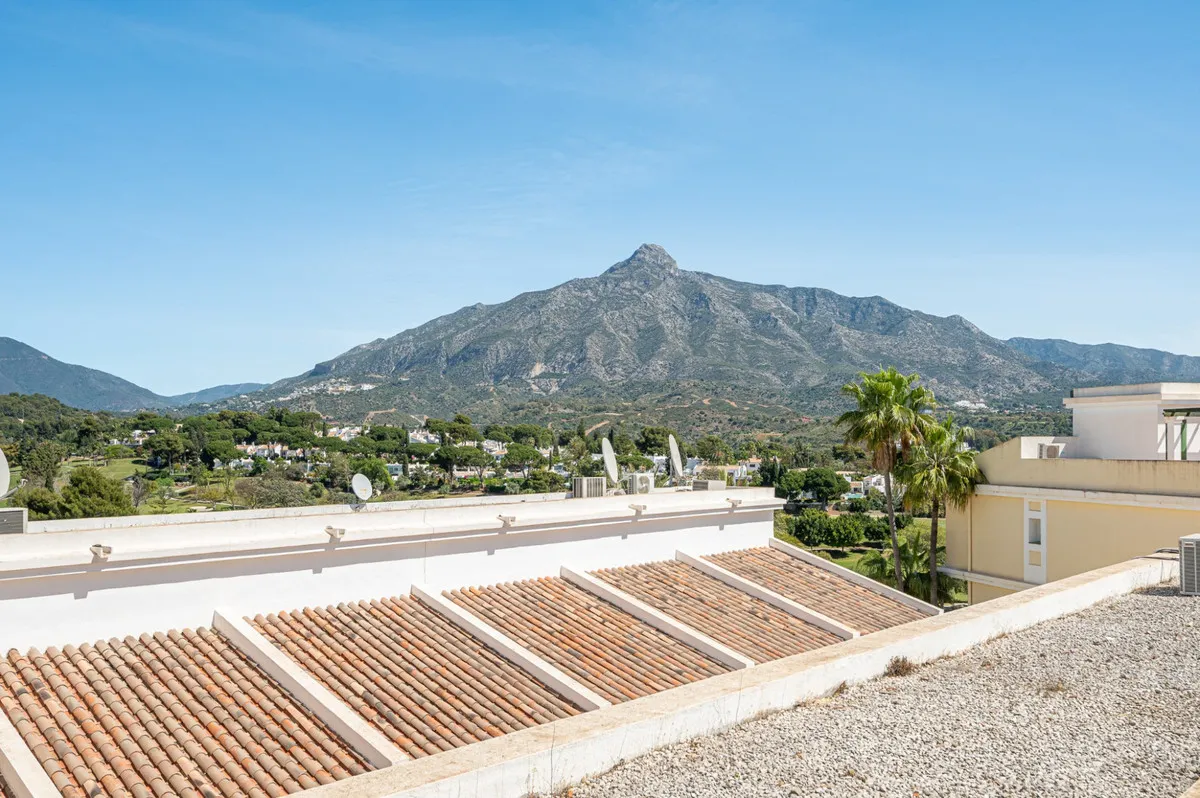 943aad3e-d6fd-42e8-8e6e-92937cad1d69