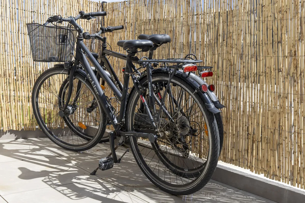 8138a919-3e22-4361-942e-6c68aaf71d98