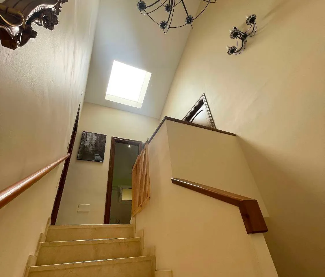 f9b0205a-3040-4654-ae08-8f658bab709d