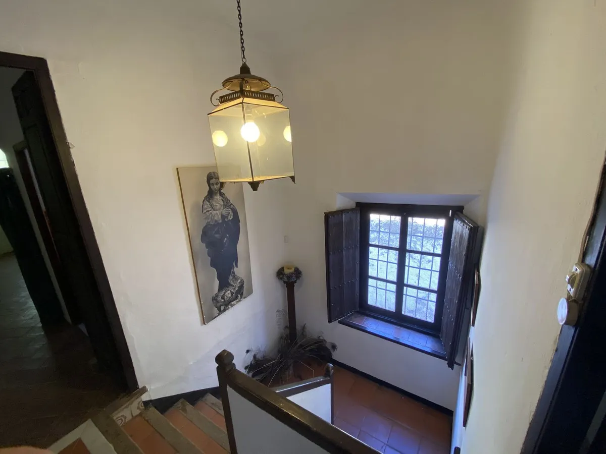 b8a98f39-57f0-4bae-a750-dbafcedbbe75