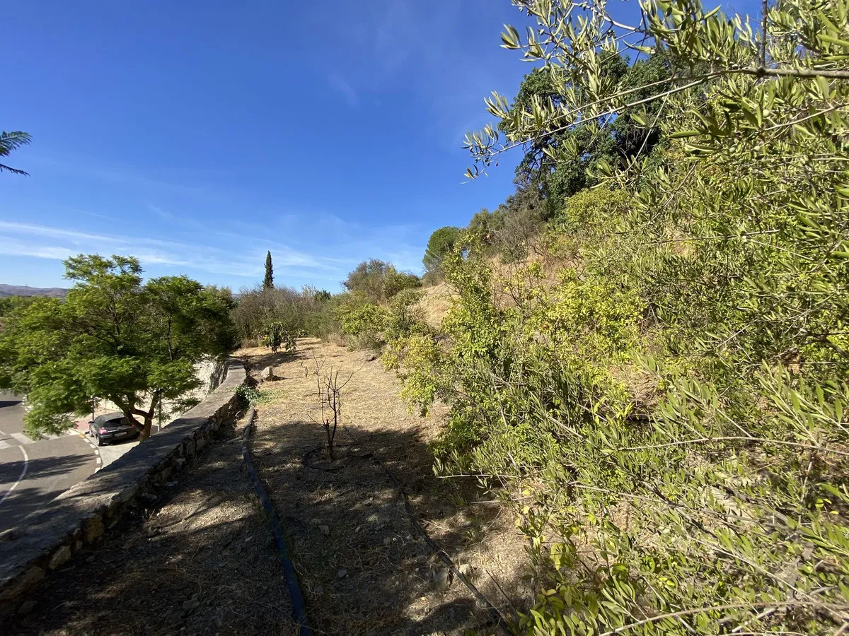 e93110d1-35ba-458a-bb18-f0717e308bba