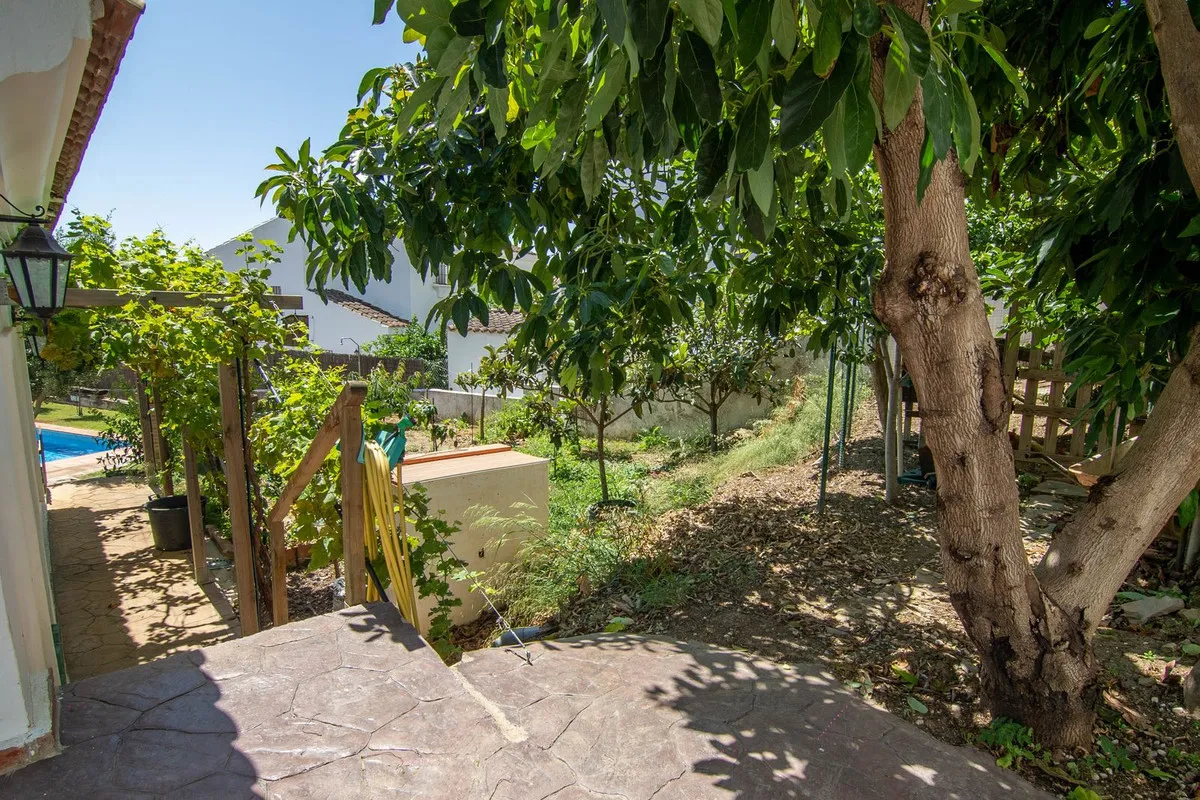 76ca987d-9fcf-45b5-afa3-5f3bde596eef