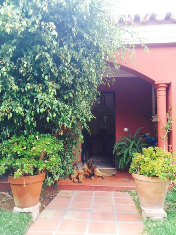 fa631a25-c86e-43d7-bfc2-acd098ff3745