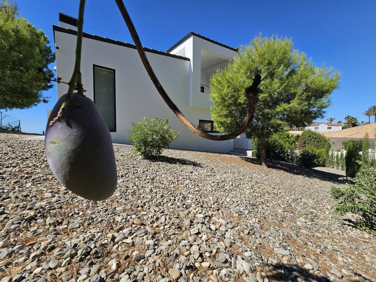 c956ee4a-473d-49f2-85aa-7327189ba0fd