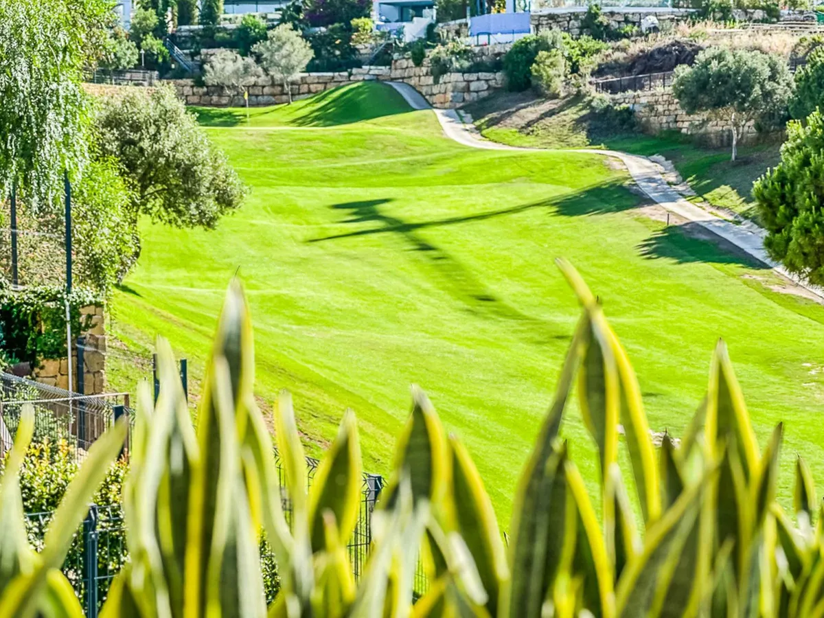 548358dd-720e-4aaa-b453-f263d8b9ad21