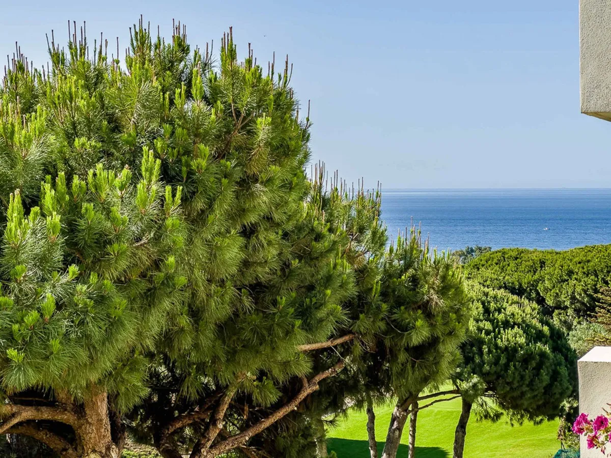 b8c86031-a427-46aa-8a5d-b033c6968191