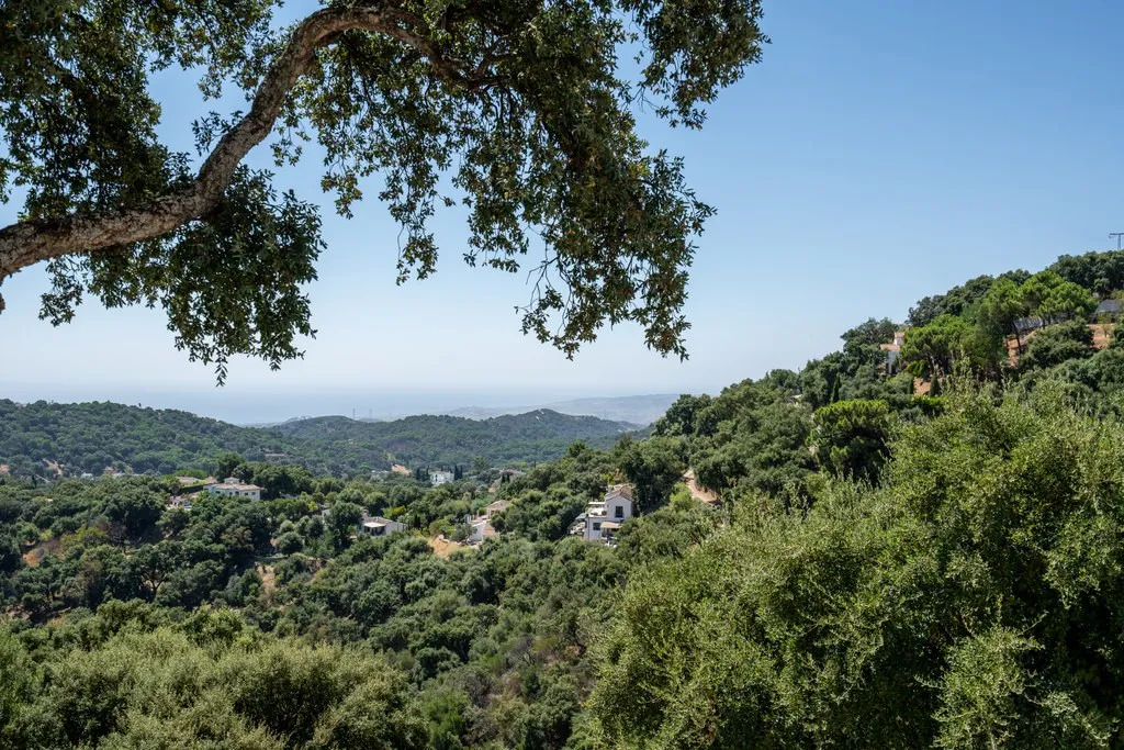 c7eeba26-add3-4cf7-bc5a-3f56e400a1b3