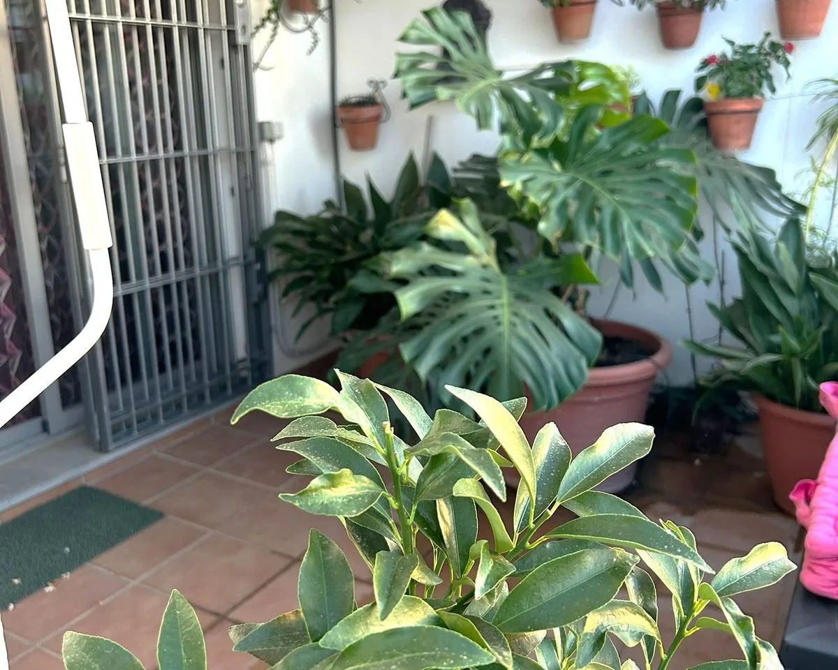 abae4226-4c04-465d-b27e-b6b1c2fe40e8