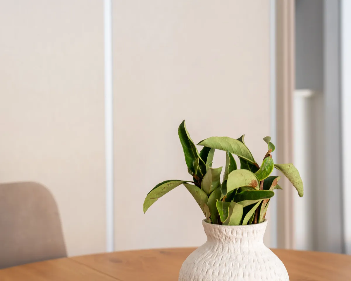 c09c7292-e18f-4dca-b2cd-0ca186a2b377