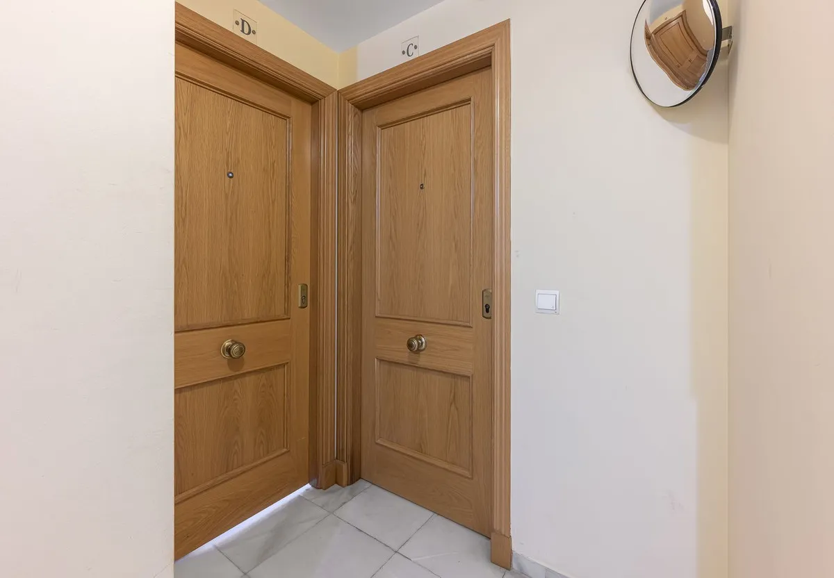 cf339835-46d9-4f24-b0d5-3c4c50eec53d