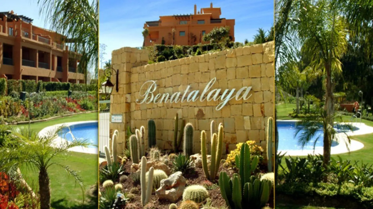 5569d1fa-880f-49b2-b759-7c9cb6e9d33a