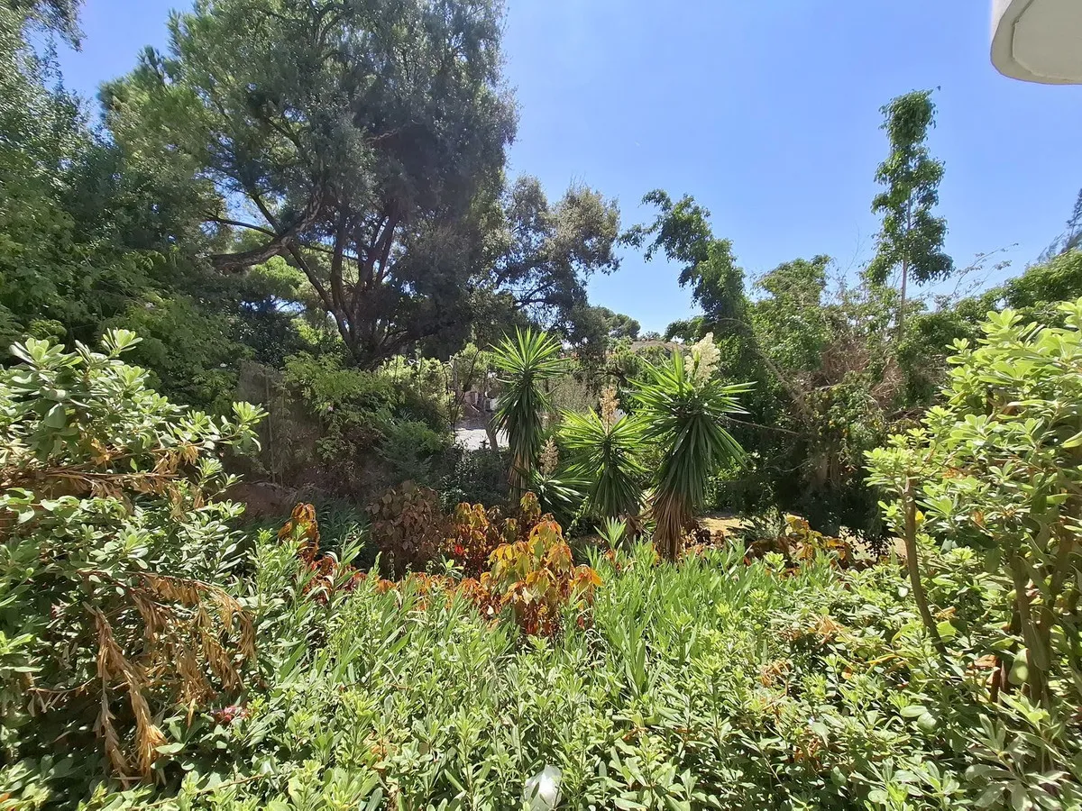 47378e08-c15e-489d-989c-89e8dadebb06