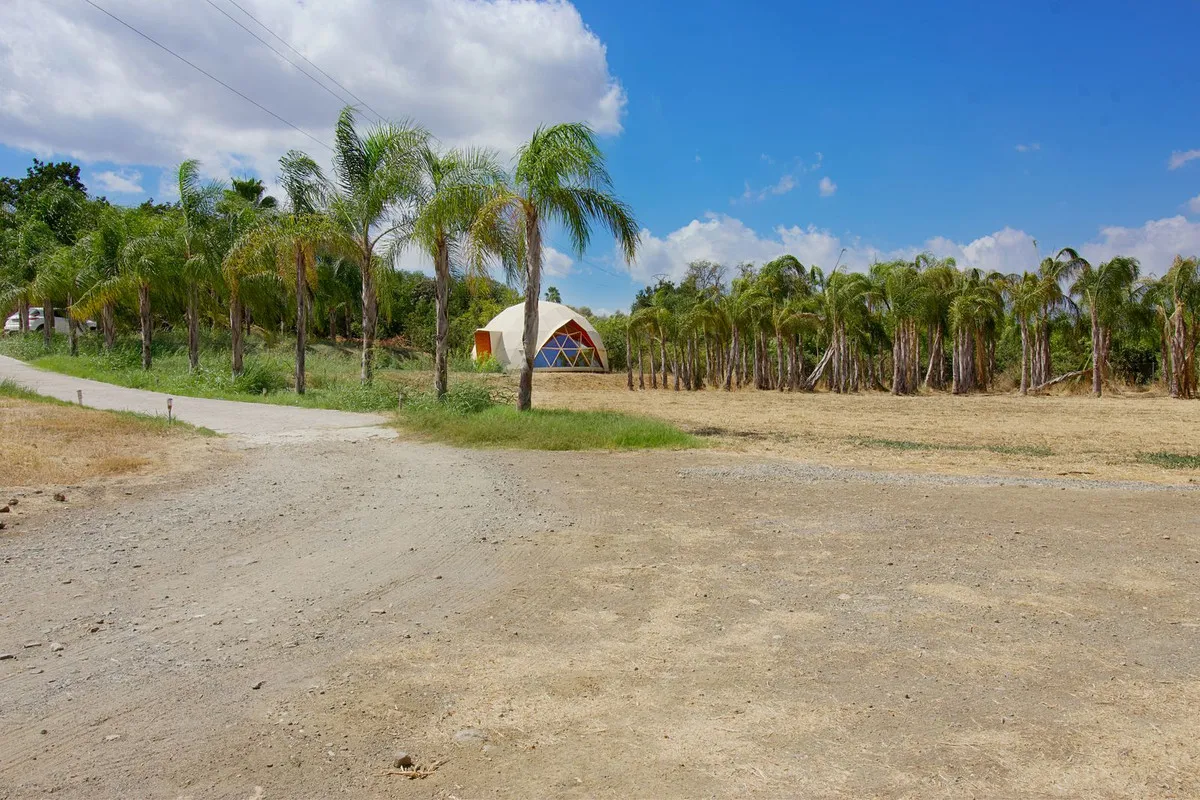 681daa70-23f2-413a-8a4b-b597dd4b19c2