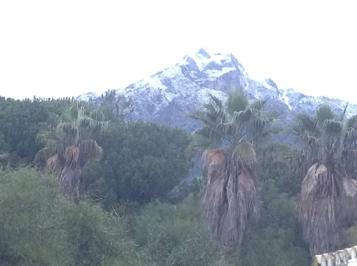 eb615524-60e2-4e36-9a80-82125f86099a