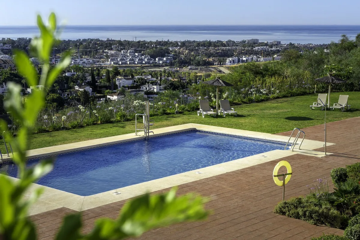 d93c56c9-c870-485e-8e60-43b57f97294c