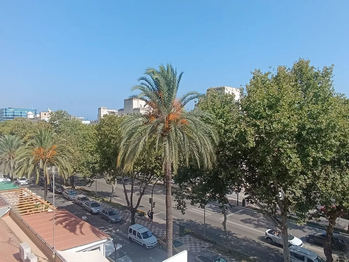 ffc75593-c172-4d9a-981a-b0810084a85e