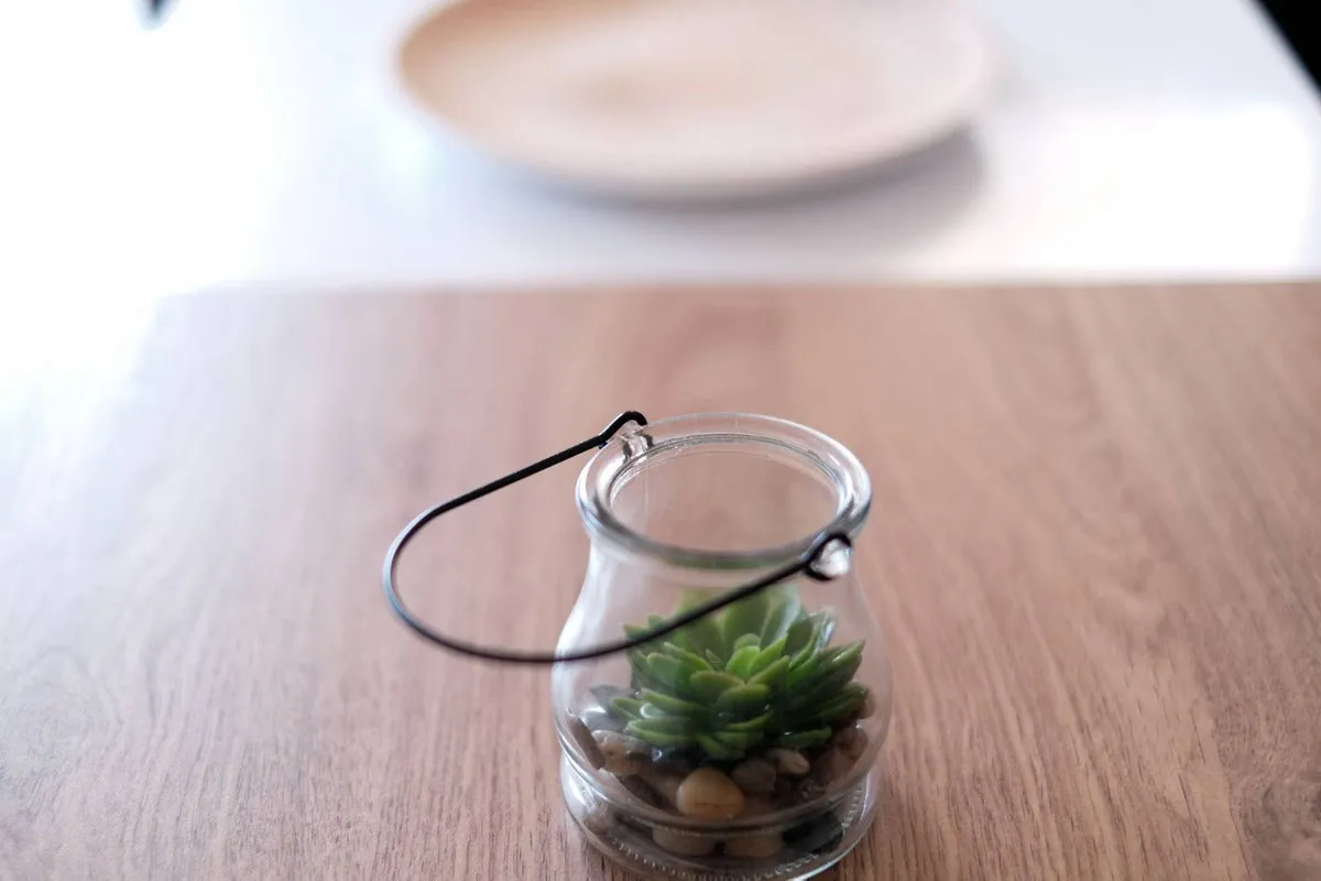 59d27f6e-1510-440d-a202-b1fc78255528